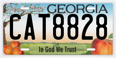 GA license plate CAT8828