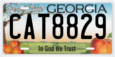 GA license plate CAT8829