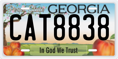 GA license plate CAT8838