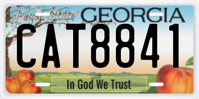 GA license plate CAT8841