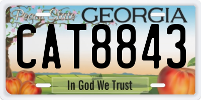 GA license plate CAT8843