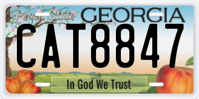 GA license plate CAT8847