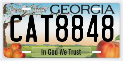 GA license plate CAT8848