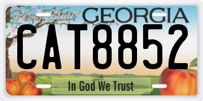 GA license plate CAT8852