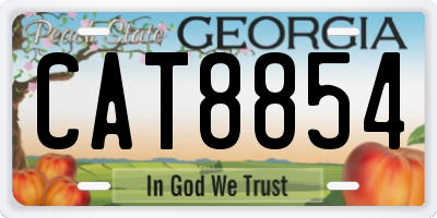 GA license plate CAT8854
