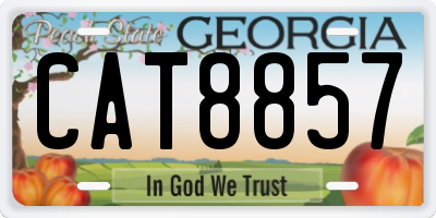 GA license plate CAT8857