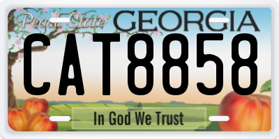 GA license plate CAT8858