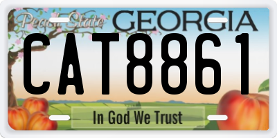 GA license plate CAT8861