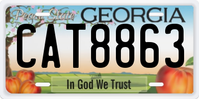 GA license plate CAT8863