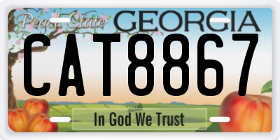 GA license plate CAT8867