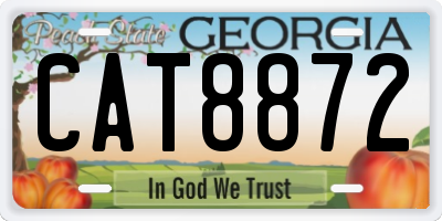 GA license plate CAT8872