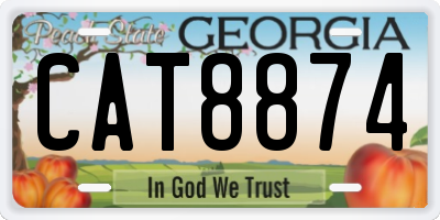 GA license plate CAT8874