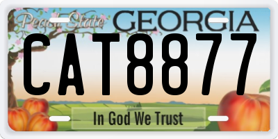 GA license plate CAT8877