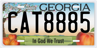 GA license plate CAT8885