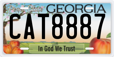 GA license plate CAT8887