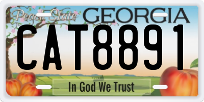 GA license plate CAT8891