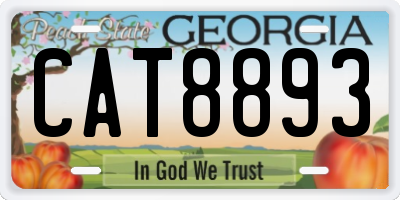 GA license plate CAT8893