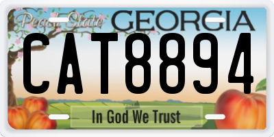 GA license plate CAT8894