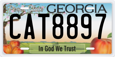 GA license plate CAT8897