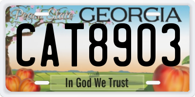 GA license plate CAT8903