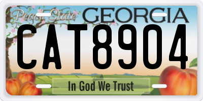 GA license plate CAT8904