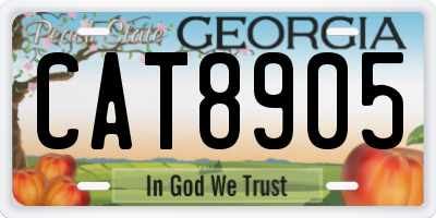 GA license plate CAT8905