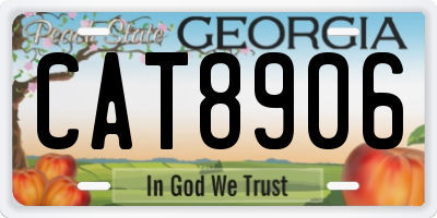 GA license plate CAT8906