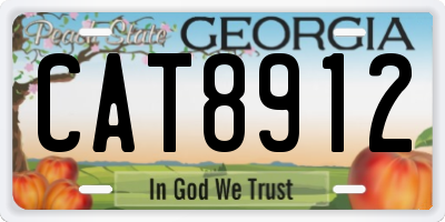 GA license plate CAT8912