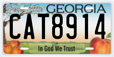 GA license plate CAT8914