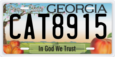 GA license plate CAT8915