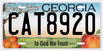 GA license plate CAT8920