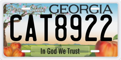 GA license plate CAT8922