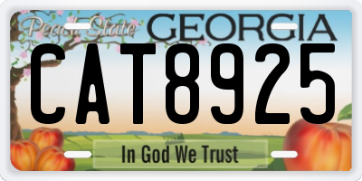 GA license plate CAT8925