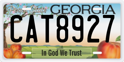 GA license plate CAT8927