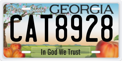 GA license plate CAT8928
