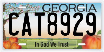 GA license plate CAT8929