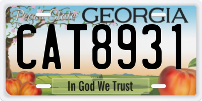 GA license plate CAT8931