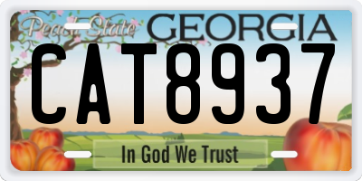 GA license plate CAT8937