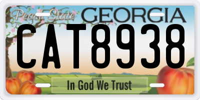 GA license plate CAT8938