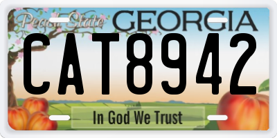 GA license plate CAT8942