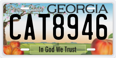 GA license plate CAT8946
