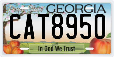 GA license plate CAT8950