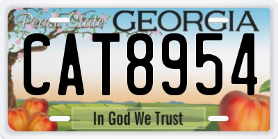 GA license plate CAT8954