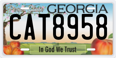 GA license plate CAT8958