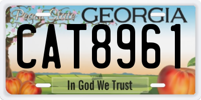 GA license plate CAT8961