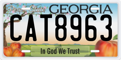 GA license plate CAT8963