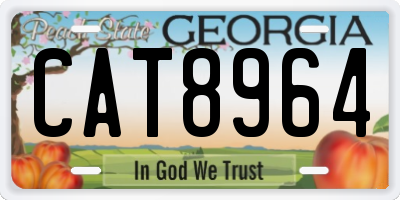 GA license plate CAT8964