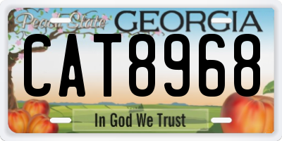 GA license plate CAT8968