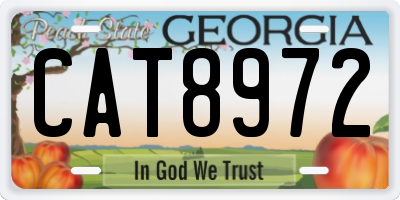 GA license plate CAT8972