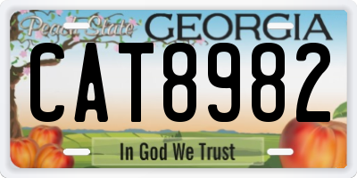 GA license plate CAT8982